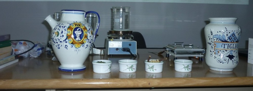 LE PIANTE OFFICINALI E LA CONTINUITA 